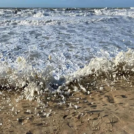 In Near And Promenade Ostend
