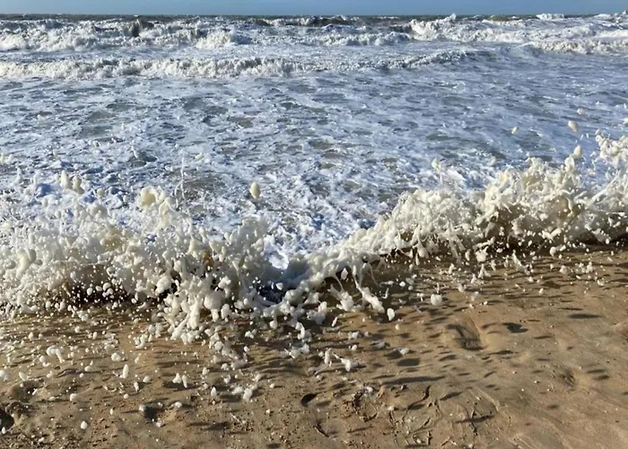 In Near And Promenade Ostenda